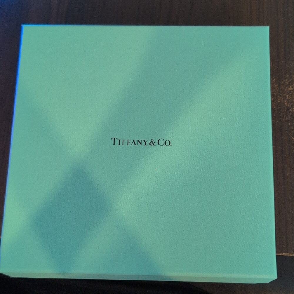 Tiffany & Co. Large Blue Square Lidded Gift Storage Box Matte Finish